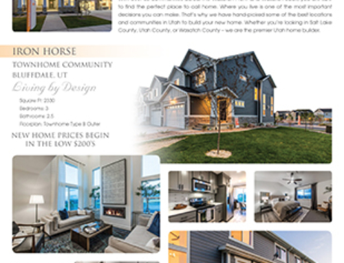 EDGE Homes Flyer Design